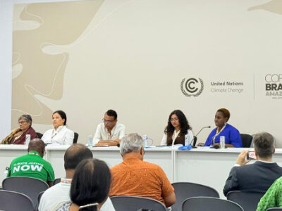 Prof Asha Hans with other Panalists at the COP30 summit in Brazil.