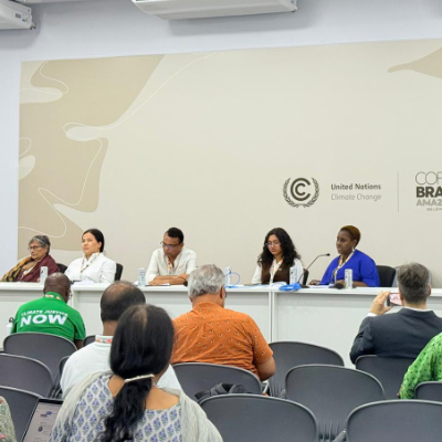 Prof Asha Hans with other Panalists at the COP30 summit in Brazil.
