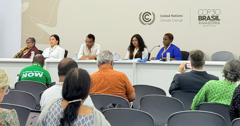 Prof Asha Hans with other Panalists at the COP30 summit in Brazil.